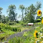 Nice Home In Wolin With Lake View